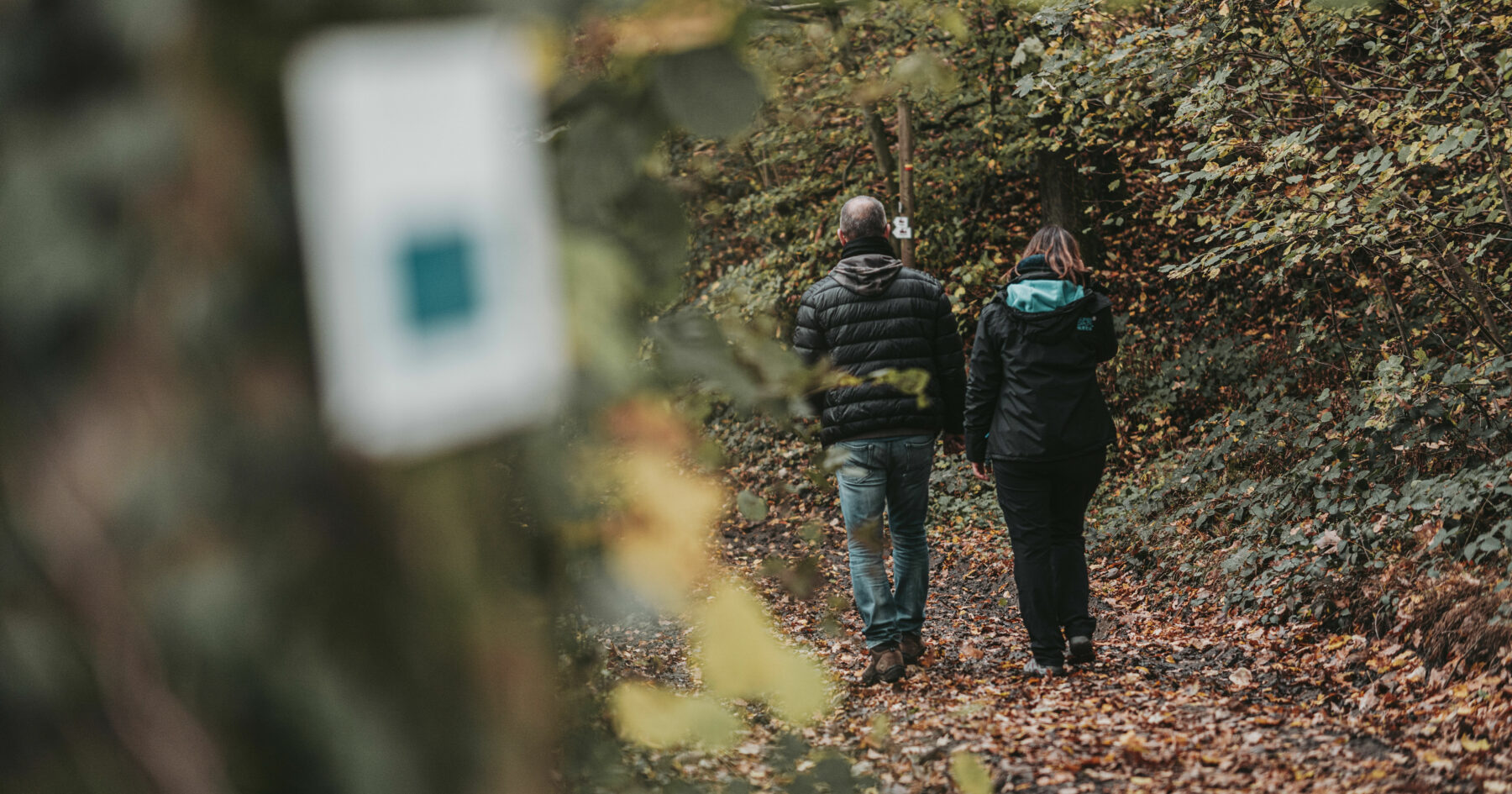 Gro E Wanderung Durch Den Wald Bei Chimay Pays Des Lacs